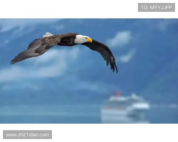 21点扑克牌游戏中的心理战术与玩家心理分析，赢得更多主动权